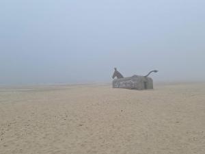 a bird sitting on a rock in the desert at Luxury Pool Retreat in Blavand - By Traum Ferienwohnungen in Blåvand