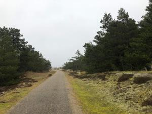 a dirt road with trees on the sides of it at Bright Beach House with Sauna - By Traum Ferienwohnungen in Vejers Strand