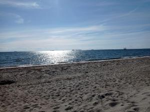 Gallery image of 8 person holiday home in Rødby-By Traum in Rødby +33 photos