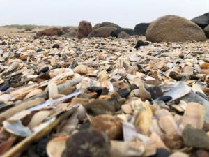 صورة لـ Luxury Retreat with Spa - By Traum Ferienwohnungen في بلافاند