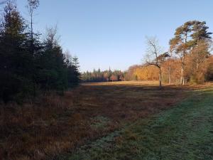 an open field with trees and a dirt road at 4 person holiday home in Toftlund-By Traum in Toftlund +24 photos