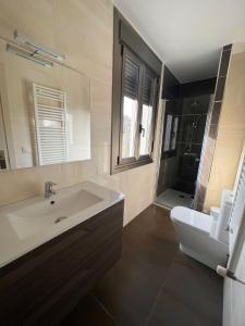 a bathroom with a sink and a toilet at Casa nueva con jardín y wifi en Ribeira Sacra in Castrelo +19 photos