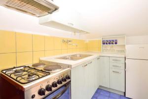 Kuchyň nebo kuchyňský kout v ubytování Apartments Zoricic