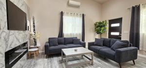 a living room with two blue couches and a tv at The Cozy Comfort in Burien