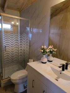 チャイテンにあるHospedaje Punto Ceroのシャワー、トイレ、洗面台を備えたバスルーム