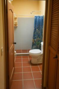 baño con aseo y cortina de ducha azul en Casa de Descanso Flandes, en Flandes