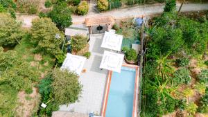 Vườn quanh Homestay Thùy Dương 1