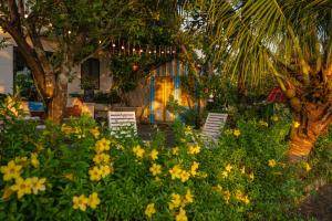 - un jardin avec des chaises et des fleurs devant une maison dans l'établissement CocoPalm Hoi An River Beach by JM Villas, à Hội An