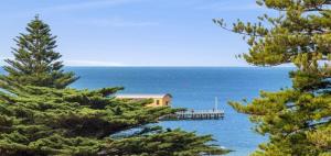 a house on a pier in the water with trees at PENTHOUSE at OZONE in Queenscliff