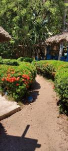 a path through a garden with flowers and plants at Hostel casa jungla in Palomino