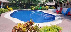 帕洛米诺Hostel casa jungla的相册照片