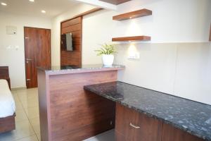 a kitchen with a counter with a potted plant at Pearl Residency Kalady in Kāladi