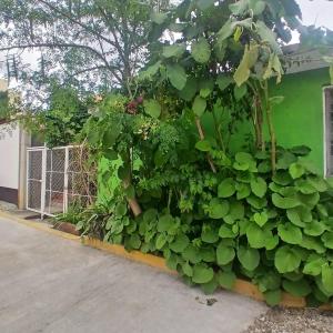 En have udenfor The Magic + 6 billeder