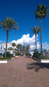 a street with palm trees and a blue sky at Penthouse 6-8 personnes in Manilva