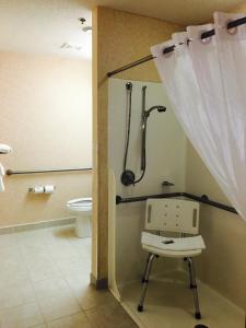 Koupelna v ubytování Microtel Inn & Suites by Wyndham Syracuse Baldwinsville