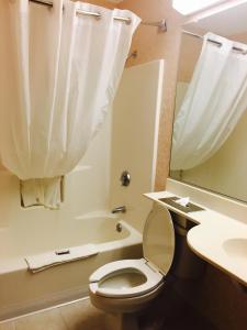Koupelna v ubytování Microtel Inn & Suites by Wyndham Syracuse Baldwinsville
