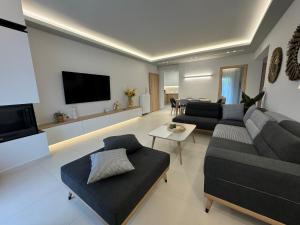 Μια τηλεόραση ή/και κέντρο ψυχαγωγίας στο Olea Suites Family