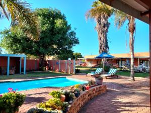 a backyard with a swimming pool and palm trees at Culdesac Guesthouse Oudtshoorn in Oudtshoorn