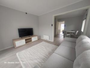 a living room with a couch and a flat screen tv at Nordlys Apartment in Hamnvik