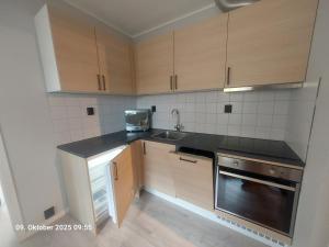 a small kitchen with wooden cabinets and a sink at Nordlys Apartment in Hamnvik +7 photos