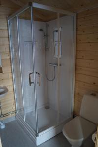a glass shower in a bathroom with a toilet at Myrkulla Lodge in Jerfojaur
