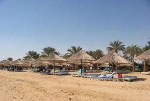 a beach with chairs and straw umbrellas and palm trees at One Bedroom Chalet at Gardenia Al Wadi in Ain Sokhna