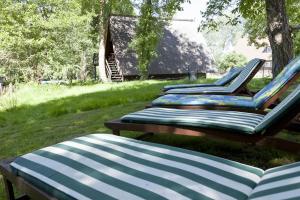 three blue and white chairs sitting in the grass at Gasthaus Dubkow Mühle in Leipe +14 photos