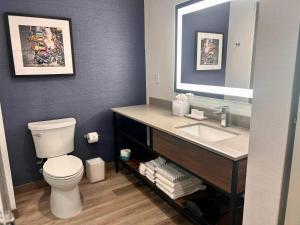 a bathroom with a white toilet and a sink at Cambria Hotel Northlake Conference Center - Roanoke in Northlake
