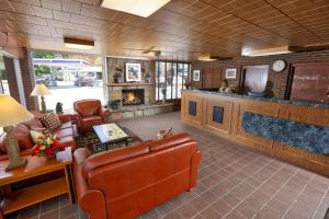a living room with a couch and a fireplace at Wild Bear Inn in Pigeon Forge