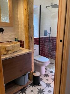 a bathroom with a sink and a toilet at Entrenogueras in Huerta del Marquesado