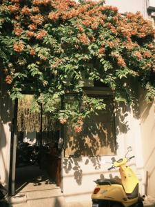 Φωτογραφία από το άλμπουμ του IKIGAI Dorm Hostel - Danang Beach σε Da Nang