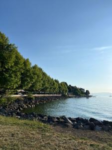 a shoreline with trees and a body of water at La Pistacherie à 30m de la plage de Grande Rive in Évian-les-Bains