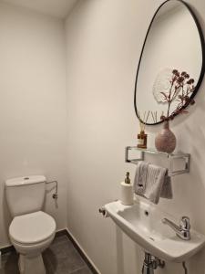 a bathroom with a white toilet and a mirror at Cosy Corner 4 in Nieuwpoort
