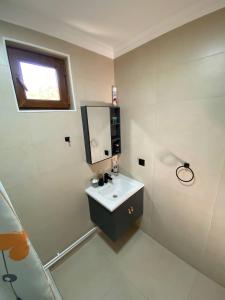 un baño con lavabo y espejo en Forest Panorama House Dilijan, en Dilijan