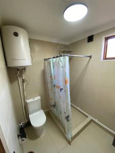 Un baño con inodoro y cortina de ducha. en Forest Panorama House Dilijan, en Dilijan 9 fotos más