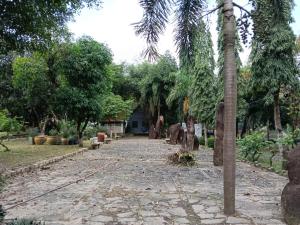 Zahrada ubytování Cactos Countryside Homestay Trị An + 19 fotografií