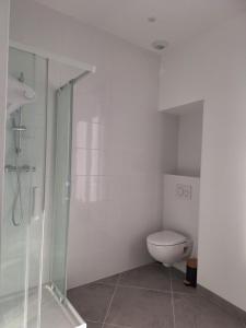 ein weißes Badezimmer mit Toilette und Dusche in der Unterkunft AquaLodge Serena in Aix-les-Bains + 6 Fotos