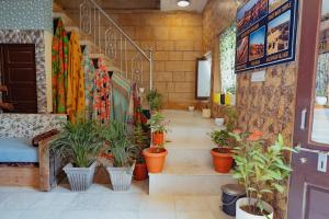a group of potted plants in a hallway with stairs at Hotel Rumis Jaisalmer in Jaisalmer