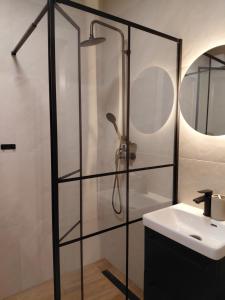 a bathroom with a shower and a sink at Apartament Sudecka 119 in Jelenia Góra +1 photo