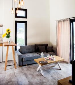 un soggiorno con divano e tavolino da caffè di Ktima Papadopoulou a Krionérion