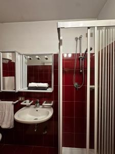 un baño con lavabo y ducha en Chalet Piazzi, en Semogo 12 fotos más