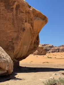 Příroda nedaleko rezortu