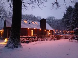 a house covered in snow at night with lights at De Eekhoorn in Ugchelen