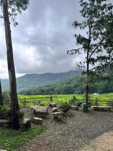 a picnic area with benches and a view of a mountain at Campsite Yedikha in Viswema +11 photos