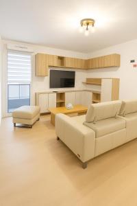 a living room with two couches and a tv at Balcon sur docks - 4 lits - 4 beds in Le Havre