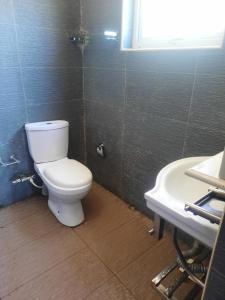 a bathroom with a toilet and a sink at Cobbs in Nanyuki