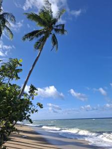 アパートメントの近くで見られる自然の景観