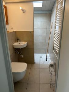 a small bathroom with a toilet and a sink at Bungalow Het Grootslag in Andijk +9 photos