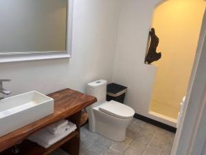 a bathroom with a toilet and a sink and a mirror at Beachfront Paradise in Tivives, Costa Rica - Your Home Away from Home in Corralillo +14 photos
