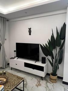 TV a/nebo společenská místnost v ubytování Lulu Residency